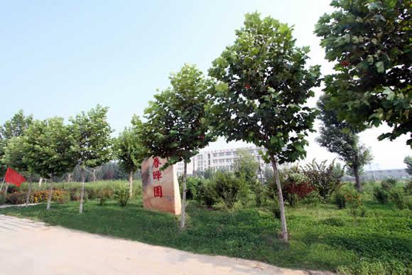 衡水科技工程學(xué)校怎么樣？是國(guó)辦院校嗎？就業(yè)有保障嗎？