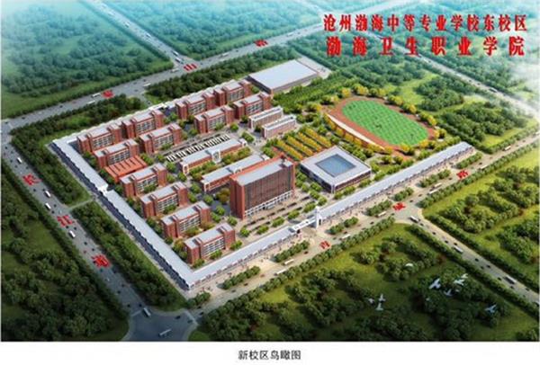 滄州學(xué)幼師為什么選擇滄州渤海專(zhuān)修學(xué)院？