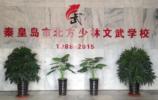 秦皇島北方少林文武學(xué)校就業(yè)如何？這答案你放心！