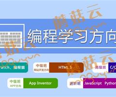 孩子為什么要盡早學(xué)習(xí)少兒編程。濟(jì)寧蘑菇云少兒編程