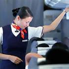 航空服務（票務、安檢方向）、航空乘務定向委培